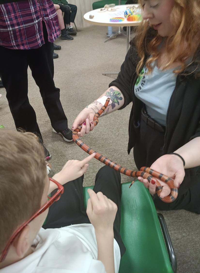 A red and orange snake being handled during a session